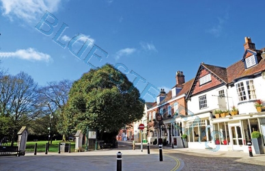The Square